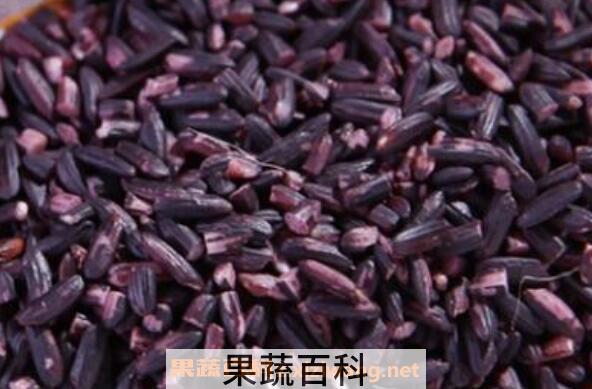 墨江紫米的功效与作用