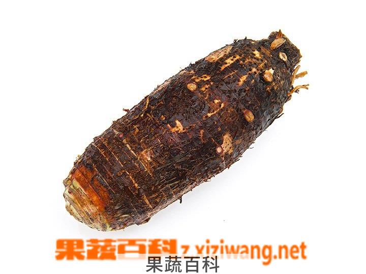 果蔬百科槟榔