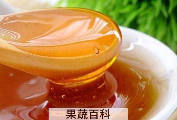  桉树蜜的作用与功效 桉树蜜的食用方法