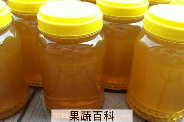  桉树蜜的作用与功效 桉树蜜的食用方法