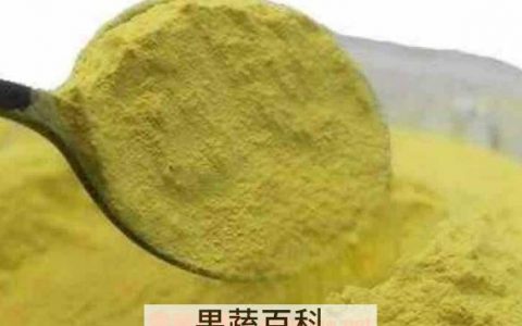 松花粉的功效与作用 松花粉怎么吃好