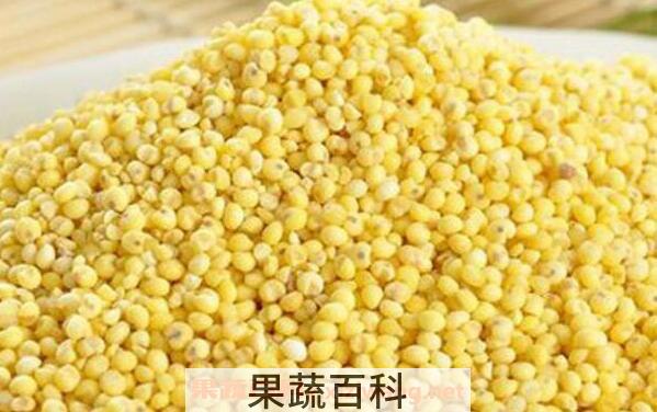 大黄米的功效与作用
