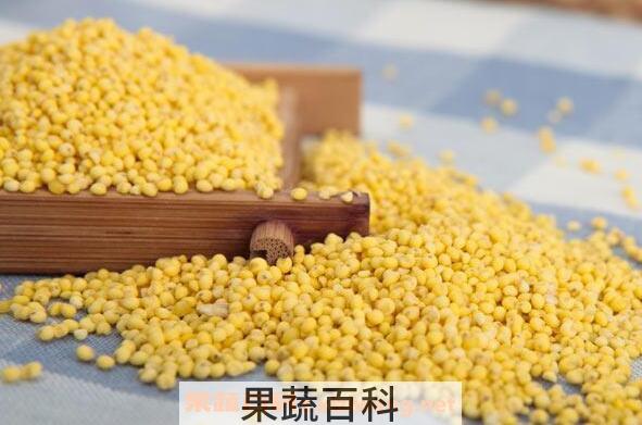 大黄米的功效与作用