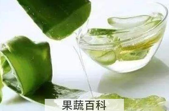 芦荟汁的功效与作用及做法