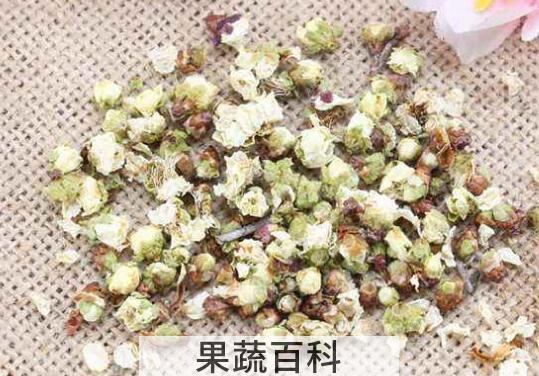 白梅花的功效与禁忌
