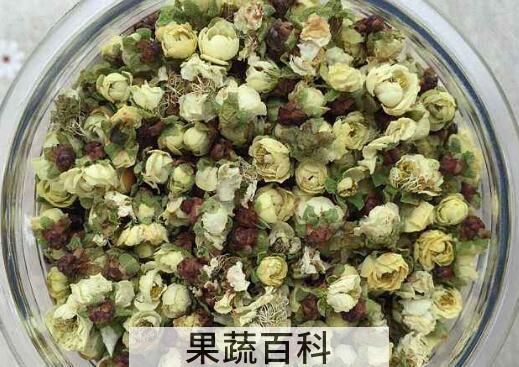 白梅花的功效与禁忌