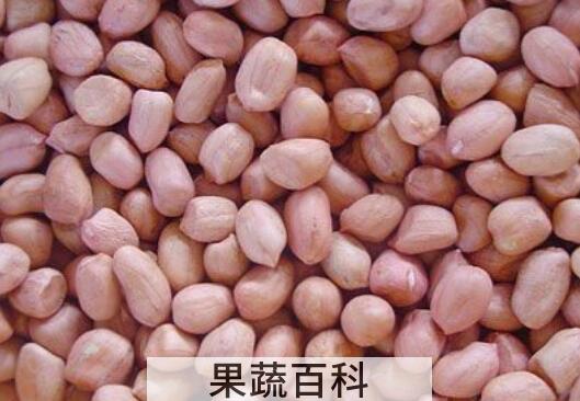花生怎么吃最有营养