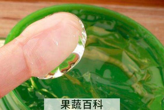 每天用芦荟胶的危害 芦荟胶的好处