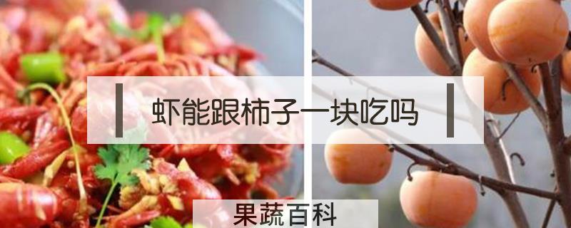 虾能跟柿子一块吃吗