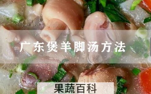 广东煲羊脚汤方法