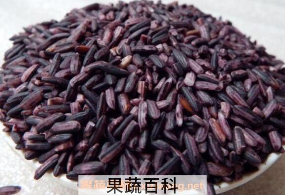 紫米的功效与作用 紫米的食用禁忌