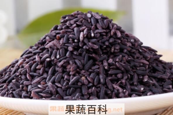 紫米的功效与作用 紫米的食用禁忌