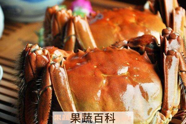 大闸蟹怎么保存 大闸蟹怎么保鲜