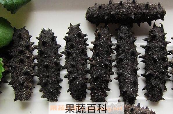 野生海参的营养价值与功效