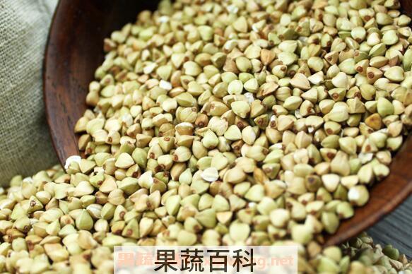 荞麦的功效与作用及营养价值