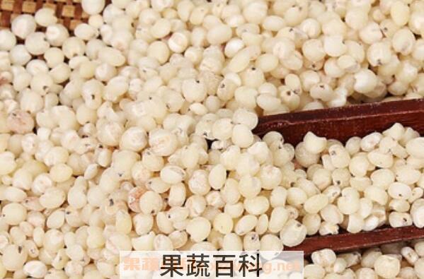 吃高粱米的好处和坏处
