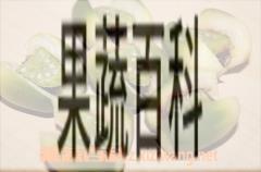 果蔬百科槟榔