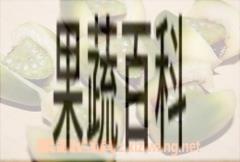 果蔬百科槟榔