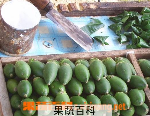 果蔬百科槟榔