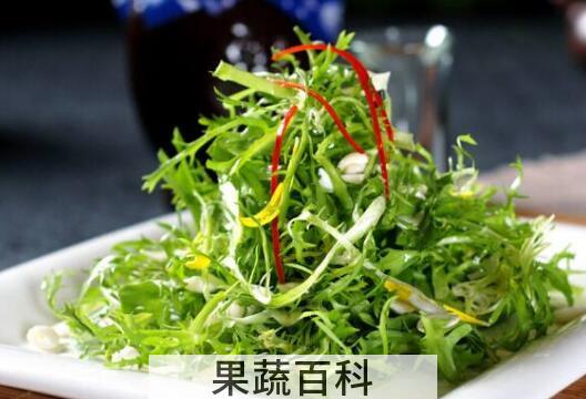 苦菊的功效与作用及禁忌