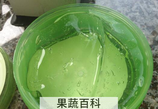 芦荟胶的功效与作用 每天用芦荟胶的危害