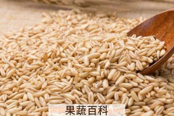 燕麦粒的功效与作用