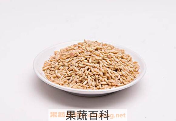 燕麦粒的功效与作用