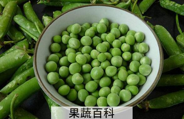 豌豆怎么做好吃 豌豆的家常做法教程