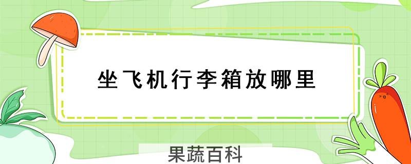 坐飞机行李箱放哪里