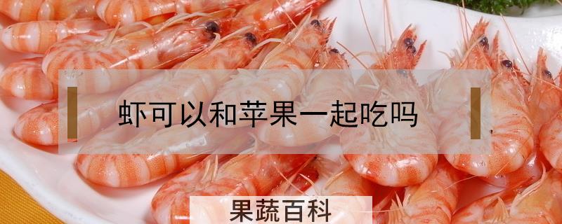 虾可以和苹果一起吃吗?