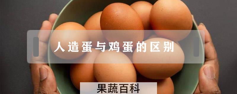人造蛋与鸡蛋的区别