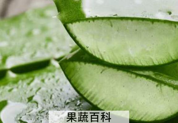 芦荟水怎么用 芦荟水的正确用法