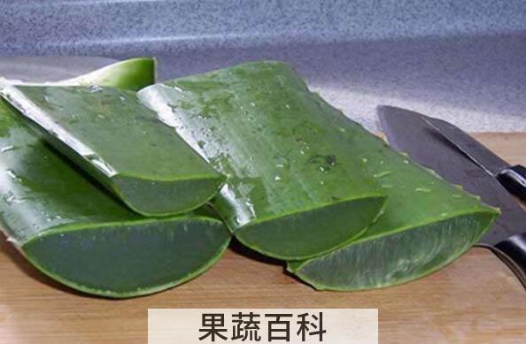 芦荟叶子熬水有什么功效