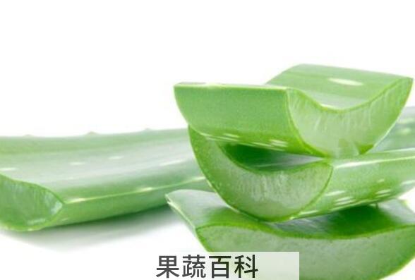 芦荟叶子熬水有什么功效