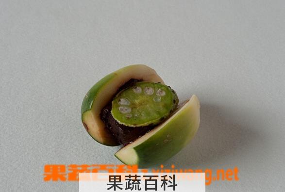 果蔬百科槟榔