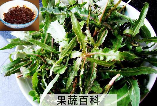 曲麻菜的功效与作用及禁忌	