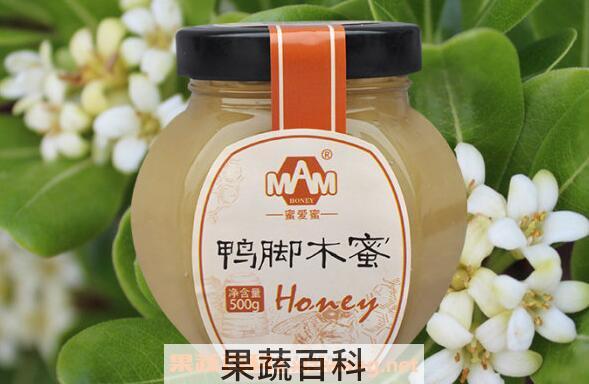 鸭脚木蜂蜜的功效与作用 鸭脚木蜂蜜的食用禁忌