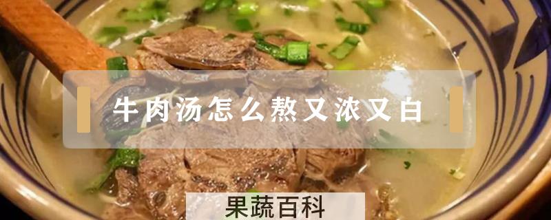 牛肉汤怎么熬又浓又白