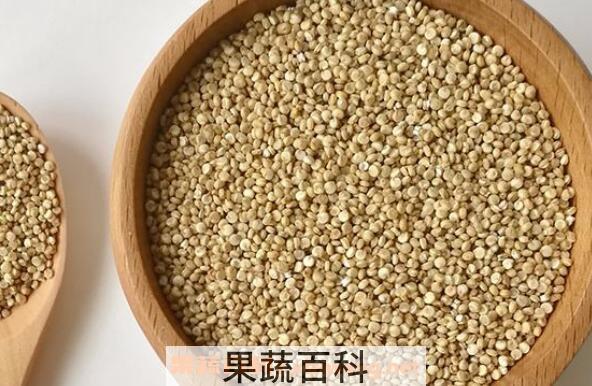藜麦的功效与作用 藜麦的副作用