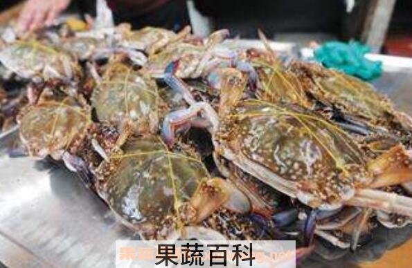 活螃蟹怎么保存 活螃蟹如何保鲜