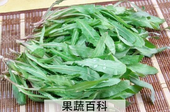 曲麻菜泡水喝的好处与功效