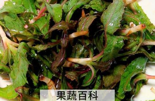 曲麻菜泡水喝的好处与功效