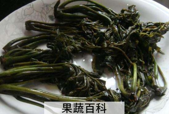 怎样腌香椿芽咸菜 香椿芽的腌制方法窍门