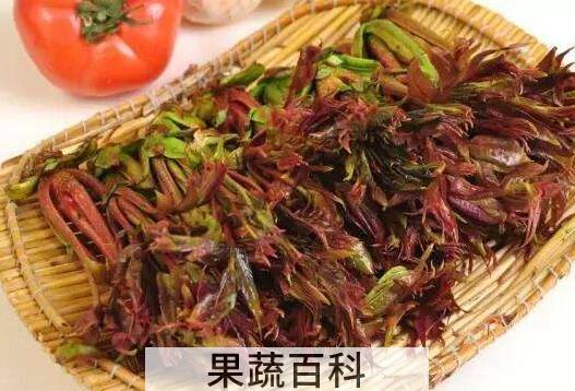 怎样腌香椿芽咸菜 香椿芽的腌制方法窍门