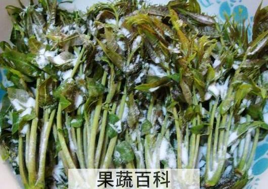 香椿的腌制和保存方法