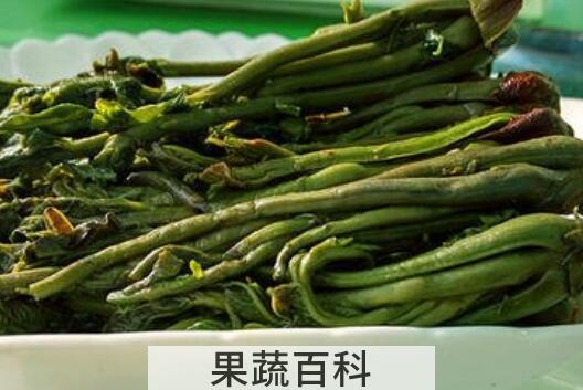 香椿的腌制和保存方法