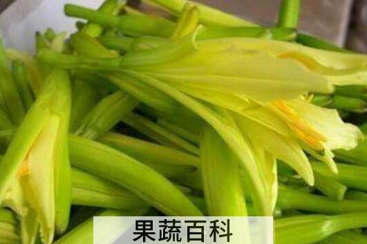 孕妇十大禁忌蔬菜有哪些