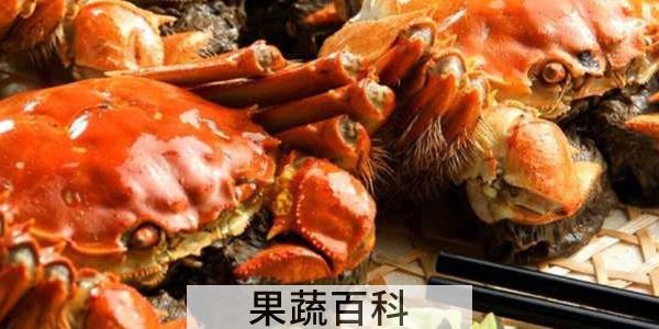 大闸蟹公的好还是母蟹好