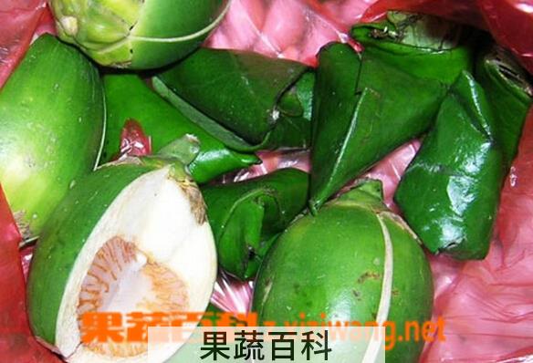 果蔬百科女生吃槟榔的危害