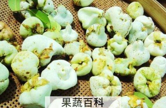 茶泡果的功效与作用 茶泡果是怎么形成的